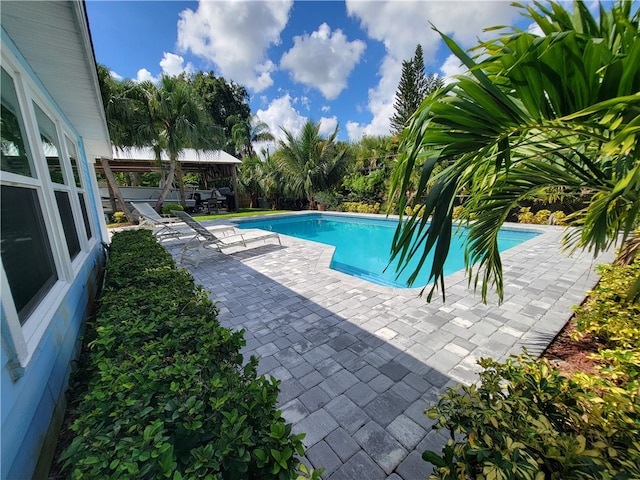 view of swimming pool featuring a patio area