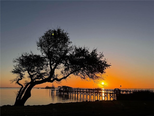 property view of water with a dock