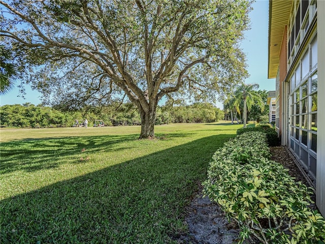 view of yard