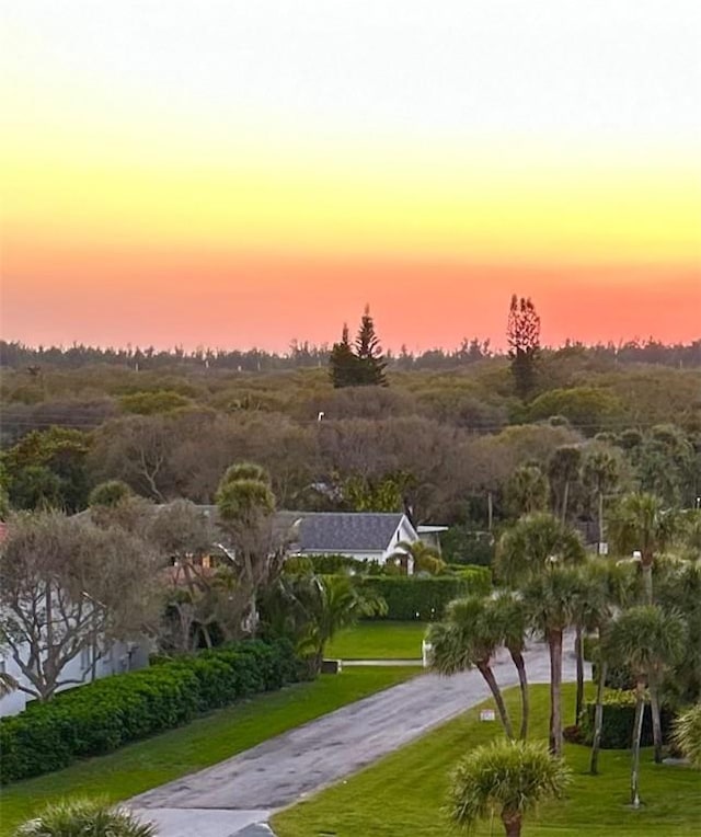 view of community featuring a yard