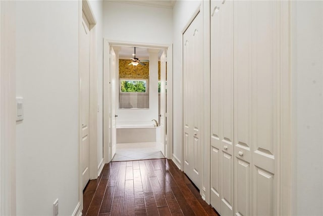 hall with dark wood-style floors