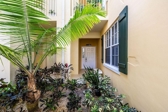 view of exterior entry with stucco siding