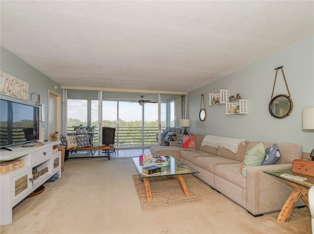 carpeted living room with a textured ceiling