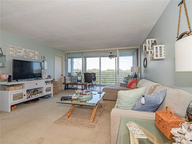 living room featuring carpet floors and a textured ceiling