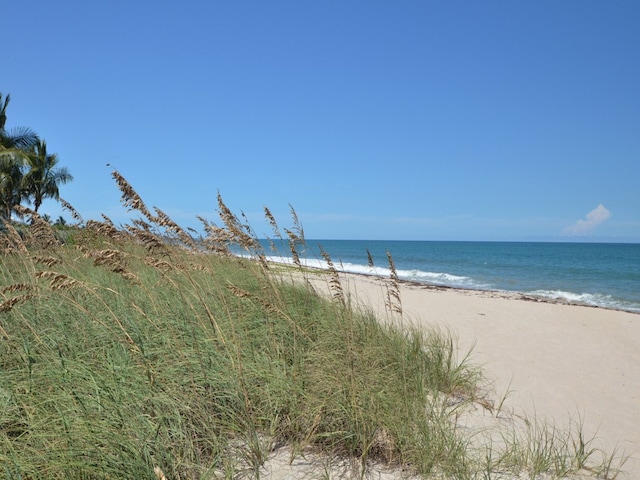 water view featuring a beach view