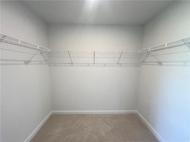 spacious closet with light carpet