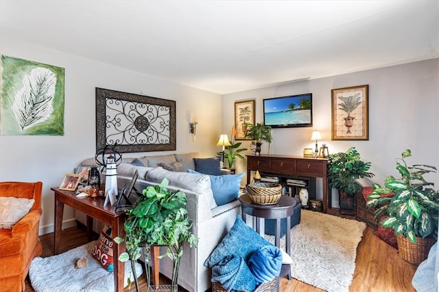 living room with wood-type flooring