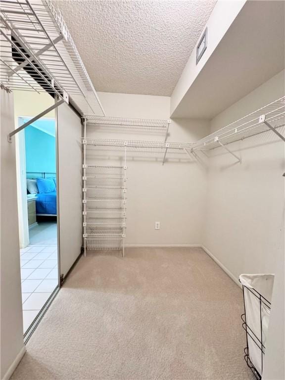 spacious closet with carpet