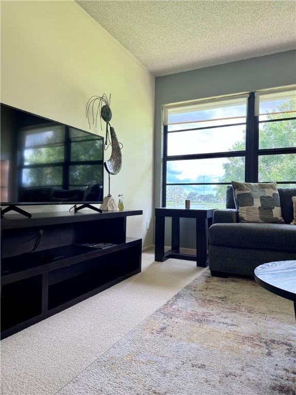 living room with carpet floors and a textured ceiling