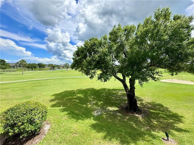 view of property's community with a yard