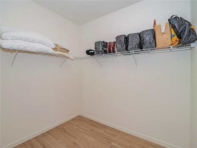 spacious closet with light wood-type flooring