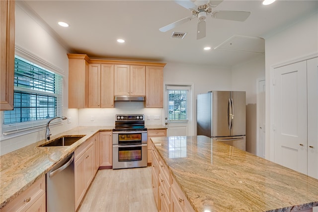 kitchen featuring light wood-type flooring, stainless steel appliances, a wealth of natural light, and sink