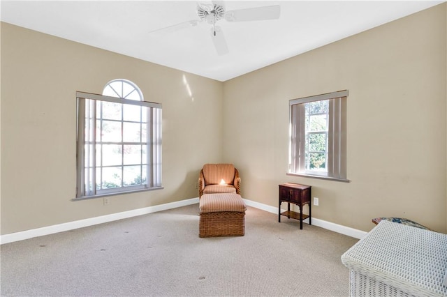 living area featuring ceiling fan and carpet flooring