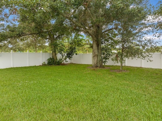 view of yard with a fenced backyard