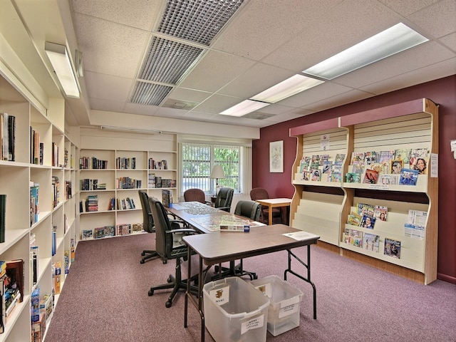 office featuring a paneled ceiling and carpet flooring