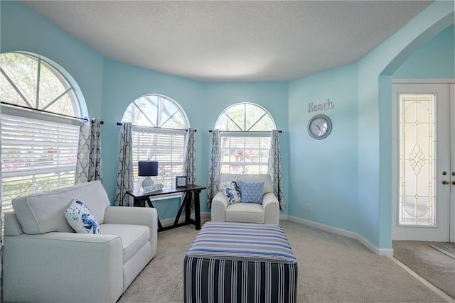 living area featuring a wealth of natural light, a textured ceiling, and light colored carpet