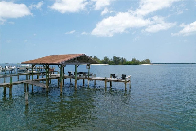 dock area with a water view