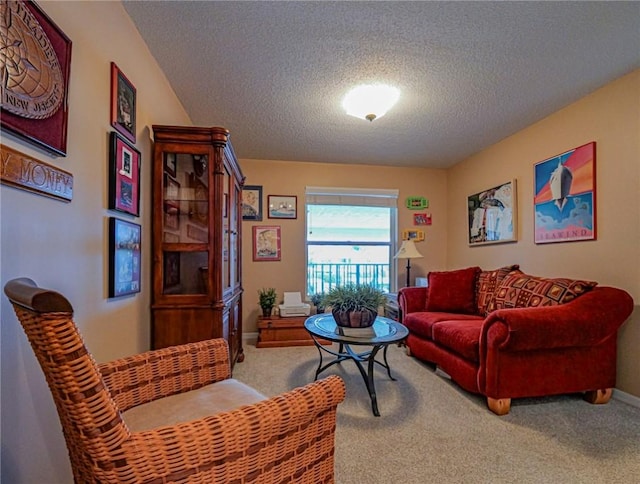 living room featuring carpet flooring and a textured ceiling