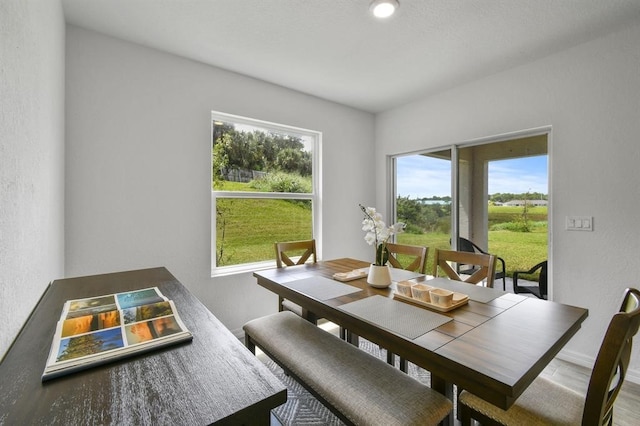 dining area with a healthy amount of sunlight