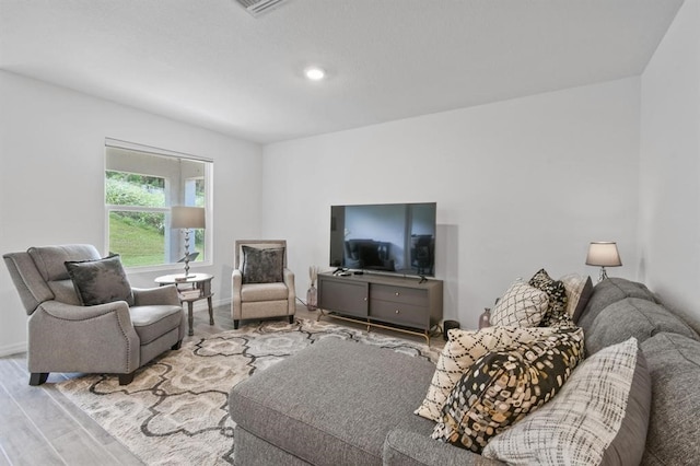 living room featuring hardwood / wood-style flooring