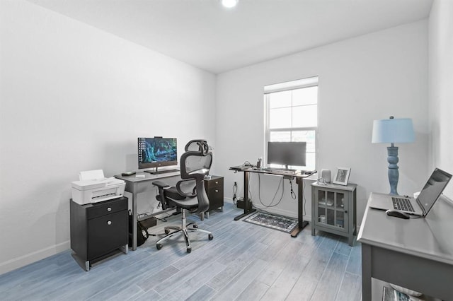 office featuring wood-type flooring