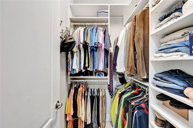 view of walk in closet