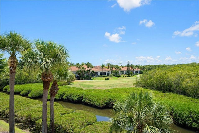 view of home's community featuring a lawn