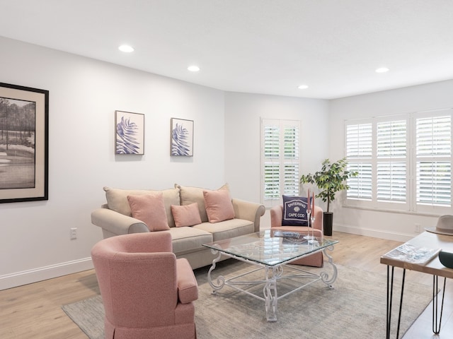 living room with light wood-type flooring