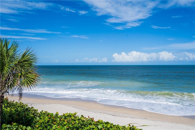 view of water feature with a beach view