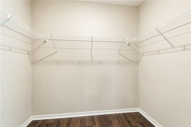 spacious closet with dark wood-style floors