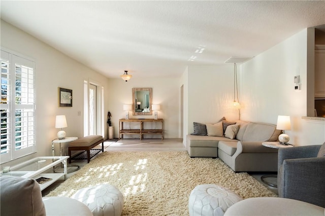 living room with hardwood / wood-style floors