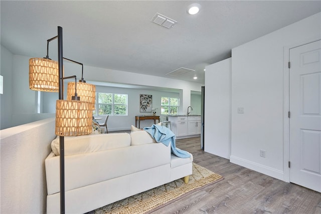 living room featuring wood-type flooring and sink