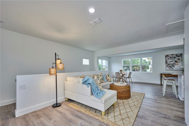 living room with hardwood / wood-style flooring