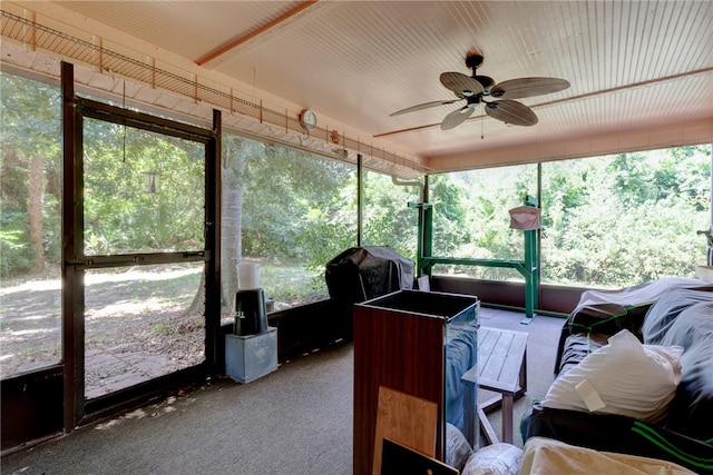 sunroom / solarium with ceiling fan