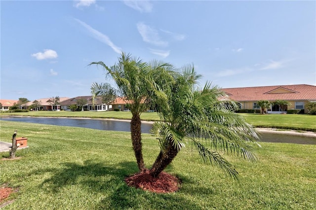 view of community with a water view and a lawn