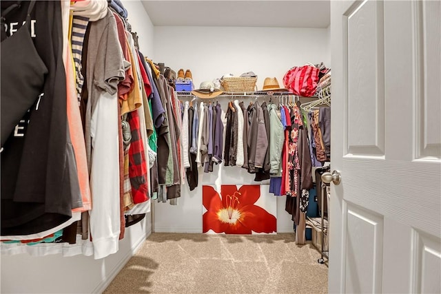 walk in closet featuring light colored carpet