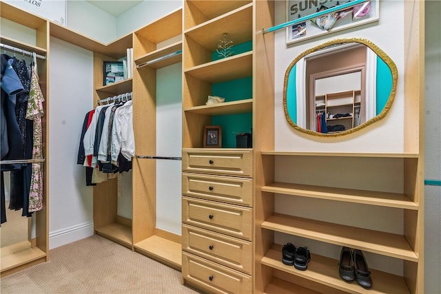 walk in closet with light colored carpet