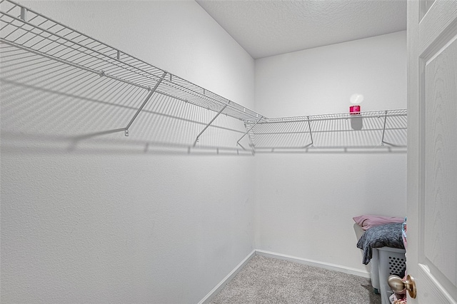 spacious closet with carpet floors