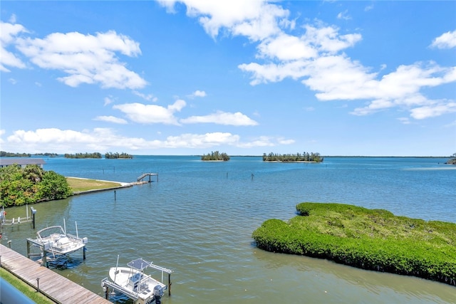 water view featuring a dock