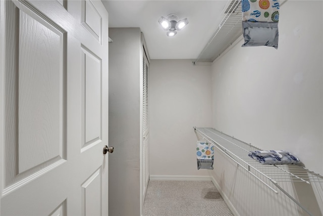 spacious closet with light colored carpet