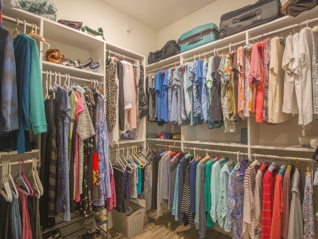 walk in closet with hardwood / wood-style flooring