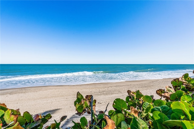 property view of water featuring a beach view