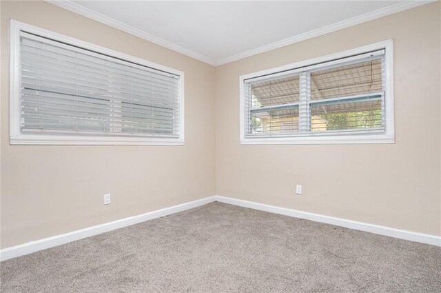 1751 5th Ct, Vero Beach, FL 32960 - carpeted empty room with baseboards and ornamental molding