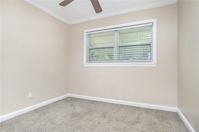 1751 5th Ct, Vero Beach, FL 32960 - empty room with carpet floors, ceiling fan, ornamental molding, and baseboards