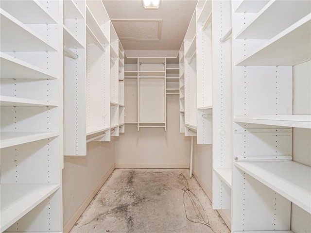 view of spacious closet