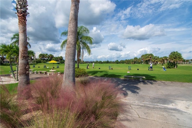 view of property's community with a yard