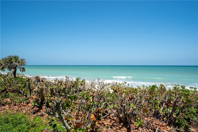 water view with a view of the beach