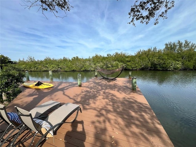 view of dock with a water view