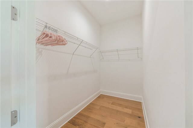 walk in closet with hardwood / wood-style flooring