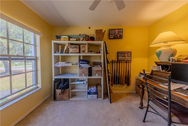 carpeted office featuring ceiling fan and a healthy amount of sunlight